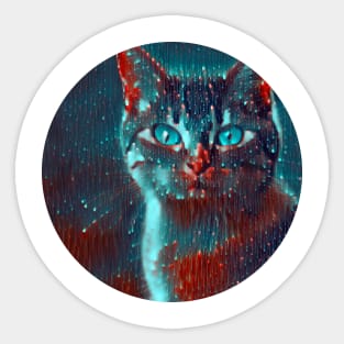 Friendly mycat, revolution for cats Sticker